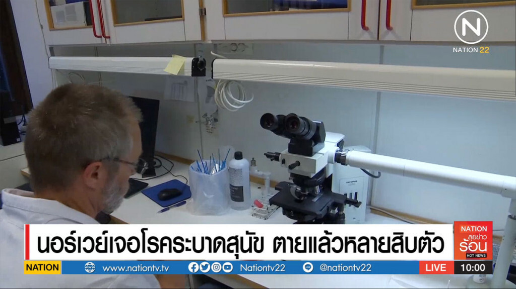 นอร์เวย์เจอโรคระบาดสุนัข ตายแล้วหลายสิบตัว นอร์เวย์เจอโรคระบาดสุนัข ตายแล้วหลายสิบตัว