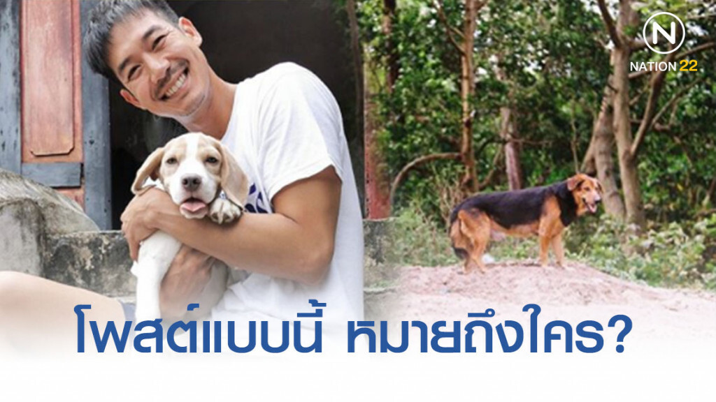 ชาวเน็ตโยง 'เวียร์' ต้องการจะสื่อถึงใคร? หลังโพสต์รูปสุนัขข้างถนน ชาวเน็ตโยง 'เวียร์' ต้องการจะสื่อถึงใคร? หลังโพสต์รูปสุนัขข้างถนน
