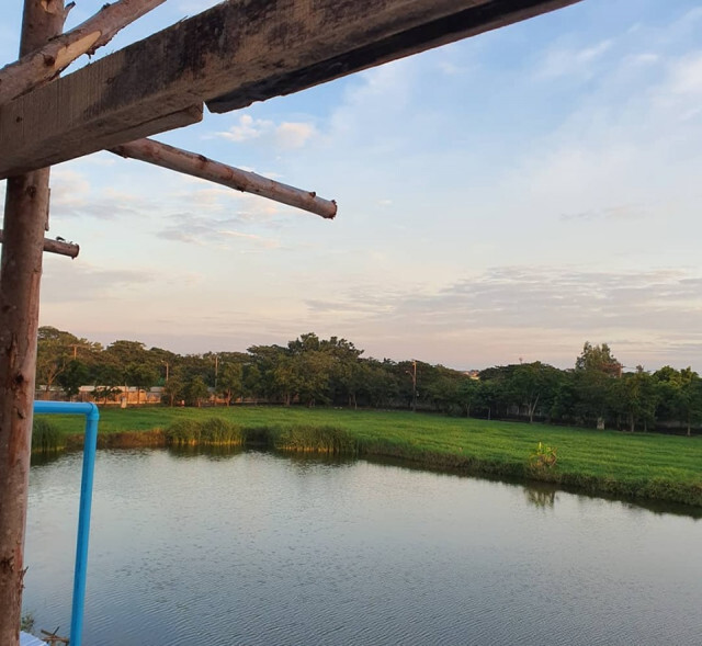 ฝันใกล้จะเป็นจริง 'เจี๊ยบ ลลนา' อัพเดตเรือนหอสุดอลังการ