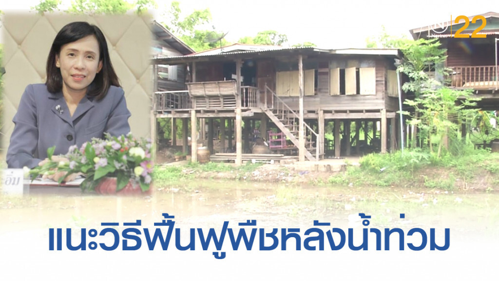 เกษตรฯ แนะวิธี "ดูแล-ฟื้นฟู" พืชหลังอุทกภัย เกษตรฯ แนะวิธี "ดูแล-ฟื้นฟู" พืชหลังอุทกภัย