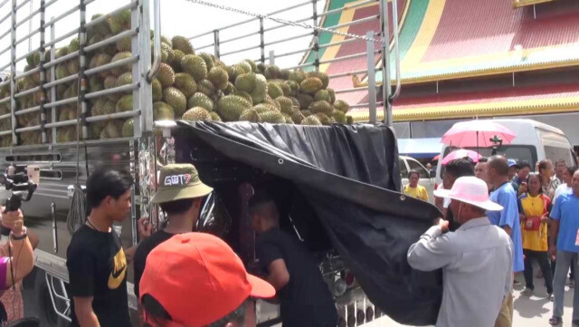 พลังศรัทธา... "เจ๊แป้ง"ขนทุเรียน 6 ตัน ประทัด 1 ล้านนัด แก้บน"ไอ้ไข่"เด็กวัดเจดีย์"