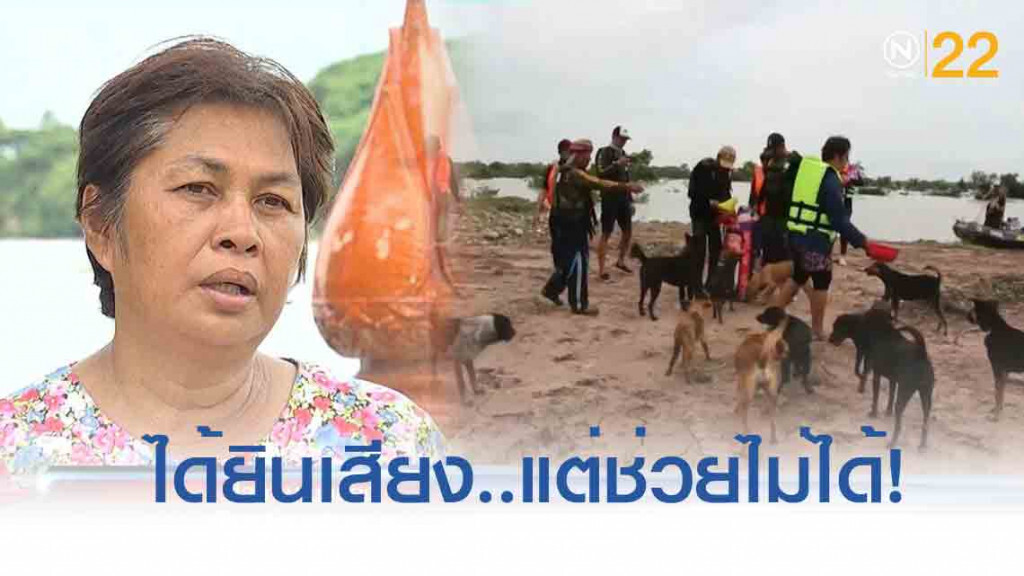 ผู้ใจบุญ วอน หมาติดเกาะ 500 ตัว จมน้ำตายกว่า 100 ตัว ได้ยินเสียง..แต่ช่วยไม่ได้!