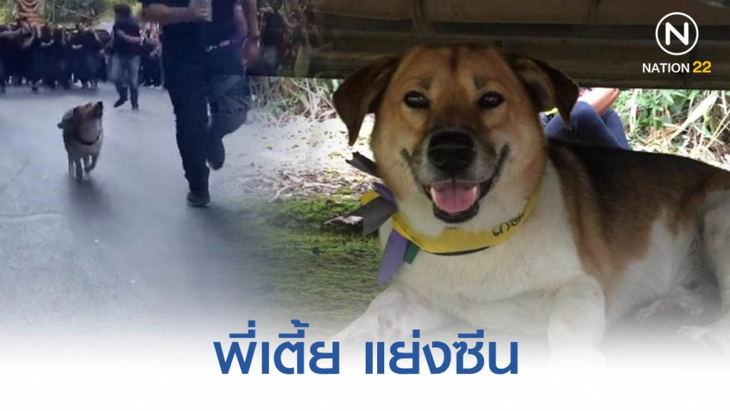 "พี่เตี้ย" วิ่งแย่งซีน "รับน้องขึ้นดอย" "พี่เตี้ย" วิ่งแย่งซีน "รับน้องขึ้นดอย"