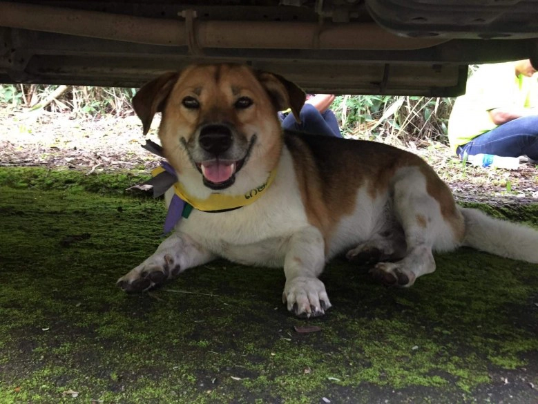 "พี่เตี้ย" วิ่งแย่งซีน "รับน้องขึ้นดอย"