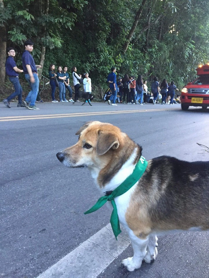 "พี่เตี้ย" วิ่งแย่งซีน "รับน้องขึ้นดอย"