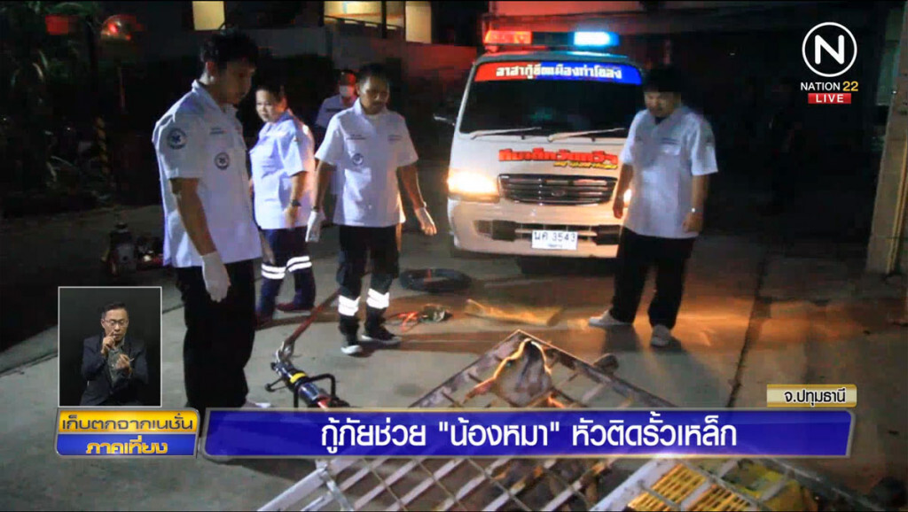 กู้ภัยช่วย "น้องหมา" หัวติดรั้วเหล็ก กู้ภัยช่วย "น้องหมา" หัวติดรั้วเหล็ก