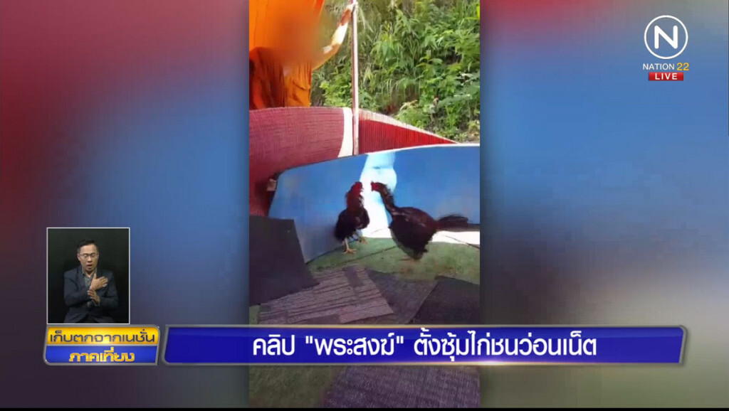 คลิป "พระสงฆ์" ตั้งซุ้มไก่ชนว่อนเน็ต คลิป "พระสงฆ์" ตั้งซุ้มไก่ชนว่อนเน็ต