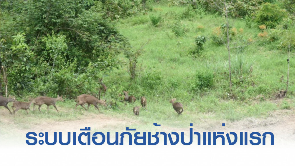 'กุยบุรี' ติดตั้ง​ระบบเตือนภัยช้างป่า​แห่งแรก​