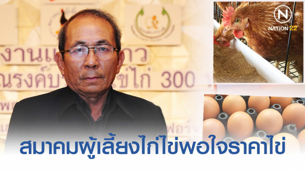 สมาคมผู้เลี้ยงไก่ไข่พอใจราคาไข่ สมาคมผู้เลี้ยงไก่ไข่พอใจราคาไข่