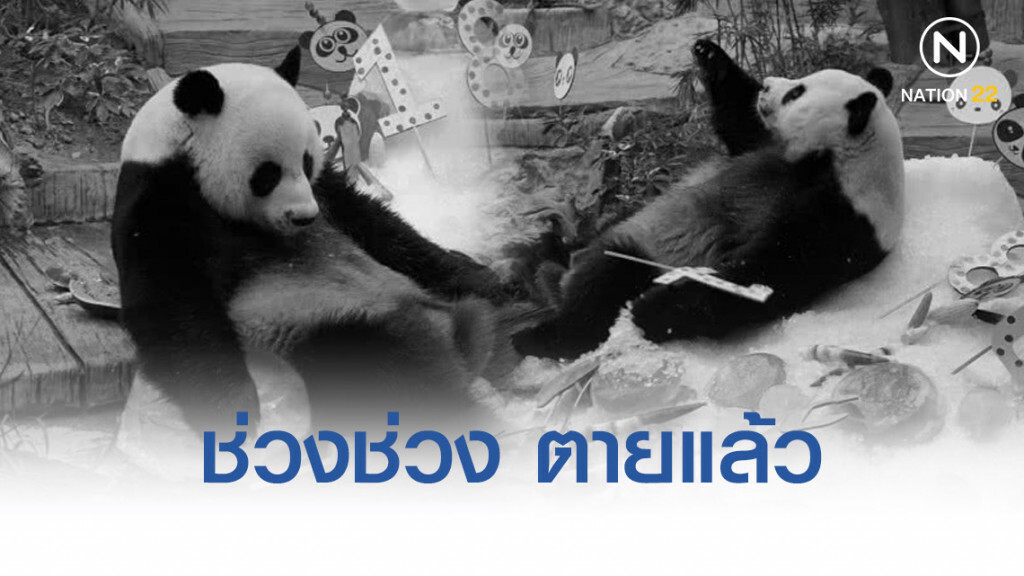 เศร้า!! แพนด้า"ช่วงช่วง" ตายแล้ว เศร้า!! แพนด้า"ช่วงช่วง" ตายแล้ว