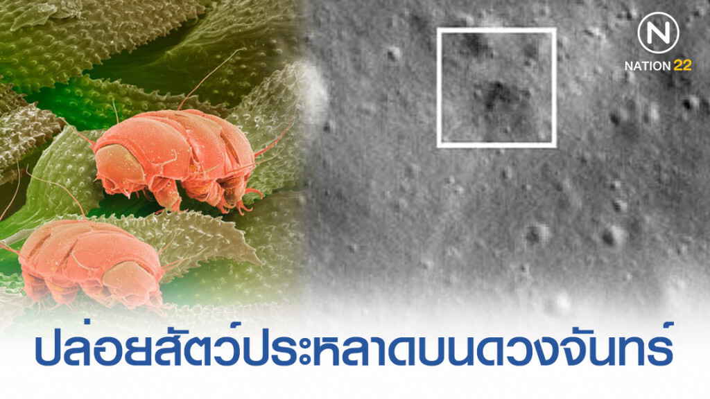 สมาคมดาราศาสตร์ไทย เผย อิสราเอลปล่อยสัตว์ประหลาดลงสู่ดวงจันทร์