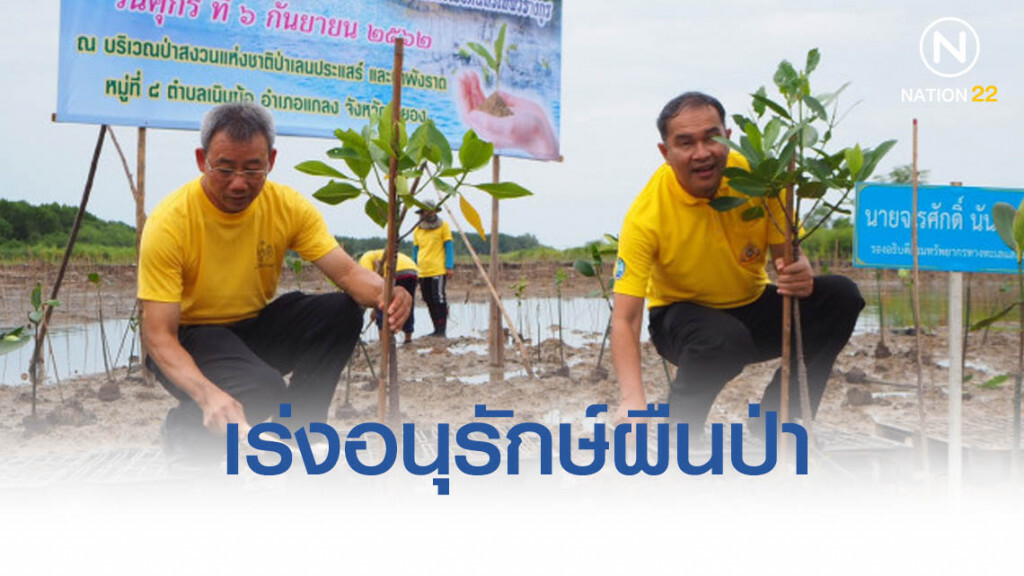 ทช.เร่งอนุรักษ์ผืนป่า