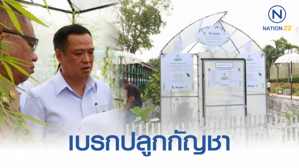 'อนุทิน​' เบรก​ปลูกกัญชาบ้านละ​ 6​ ต้น​ ยันกัญชาเสรีไม่เอื้อนายทุน