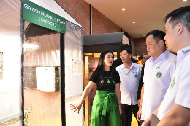 อนุทิน ชู "บุรีรัมย์โมเดล" ต้นแบบวิสาหกิจชุมชนปลูก-ผลิตกัญชาเพื่อการแพทย์แห่งแรกของประเทศ