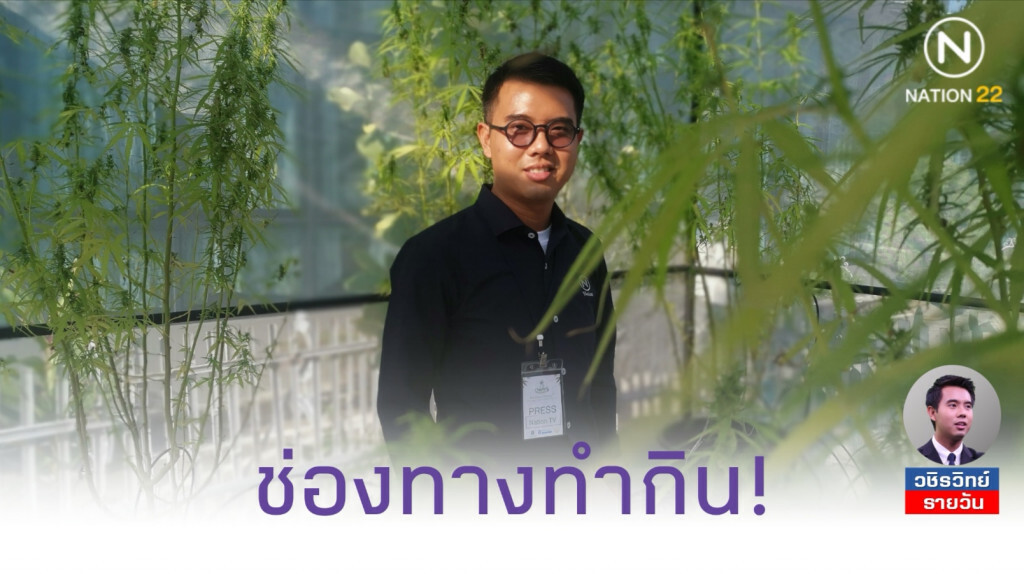 ช่องทางทำกิน! วิสาหกิจ​ชุมชนปลูกกัญชาส่งโรงพยาบาล​ ยังต้องการอีกมาก