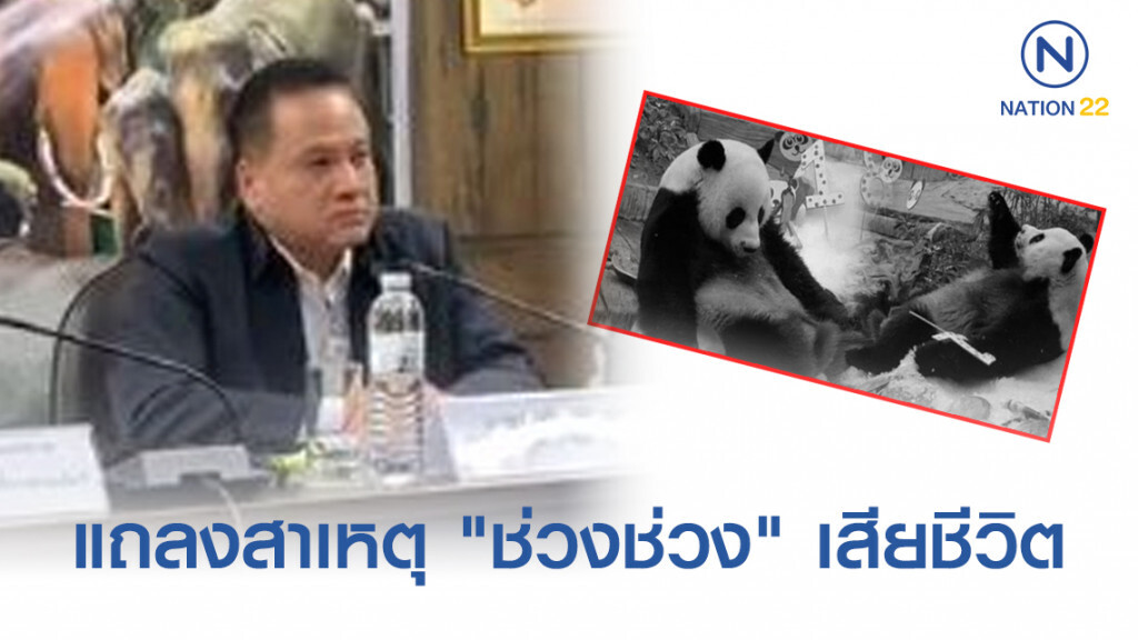 ผู้อำนวยการสวนสัตว์เชียงใหม่ แถลงสาเหตุ "ช่วงช่วง" เสียชีวิต