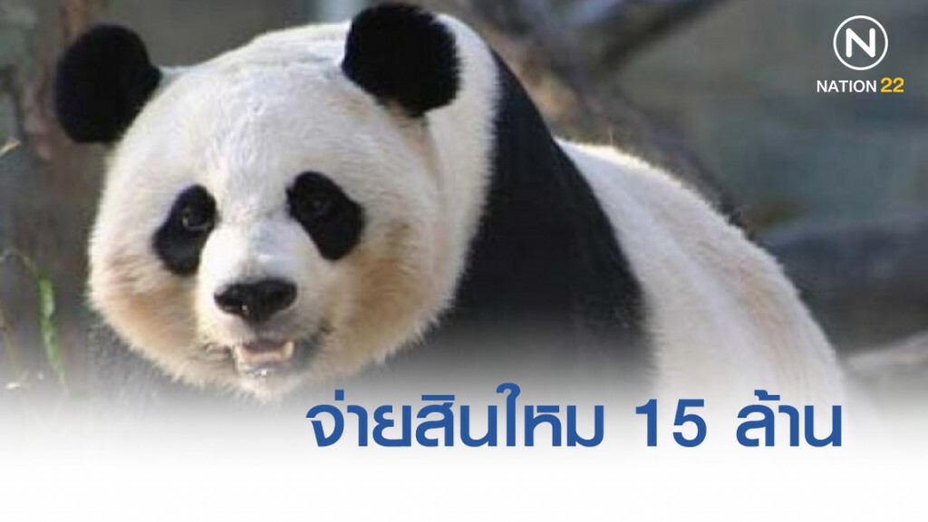 'ทิพยประกัน' จ่ายสินใหม 'ช่วง ช่วง' ตาย 15 ล้าน