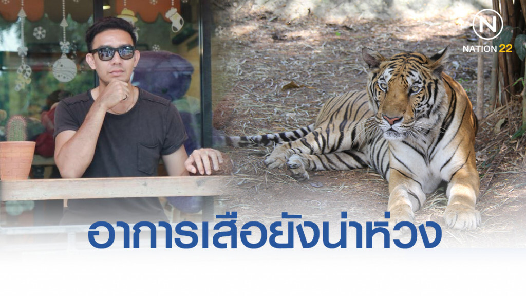 "หมอล็อต"เผยเสือของกลางที่เหลืออาการยังน่าห่วง