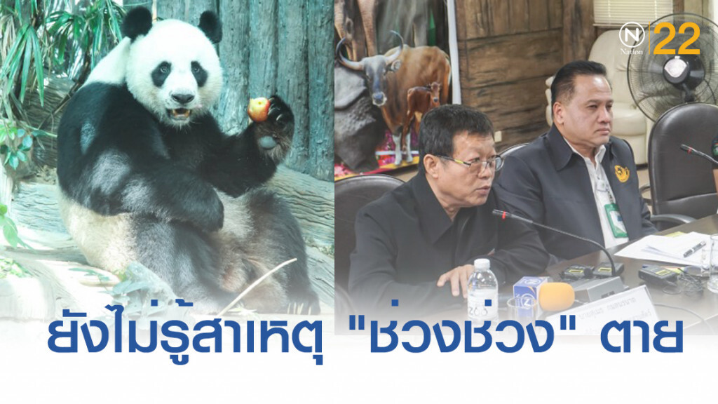 ยืนยัน "ช่วงช่วง" ตายแล้ว แต่ยังไม่ทราบสาเหตุ รอผู้เชี่ยวชาญจีนร่วมชันสูตร