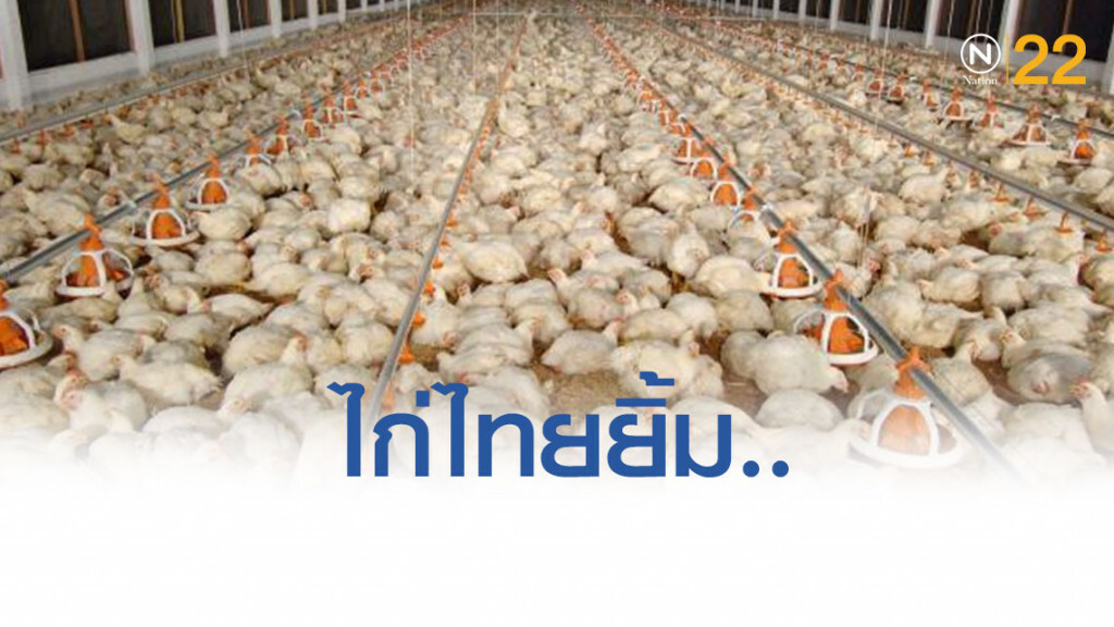 ไก่ไทยยิ้ม รับออเดอร์จีนพุ่ง ราคาสูงสุดเป็นประวัติการณ์