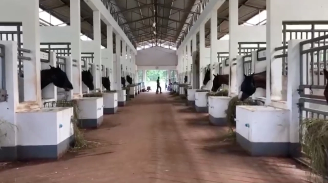 "เจ้าฟ้าหญิงสิริวัณณวรีฯ" ทรงพระราชทานเงินเดือนจากการรับราชการทหาร สร้าง "บ้านพักม้าชรา" ที่ปากช่อง