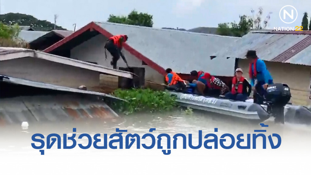 "ชัยวัฒน์"รุดช่วยสัตว์เลี้ยงถูกปล่อยทิ้งบนหลังคาบ้าน-วัด