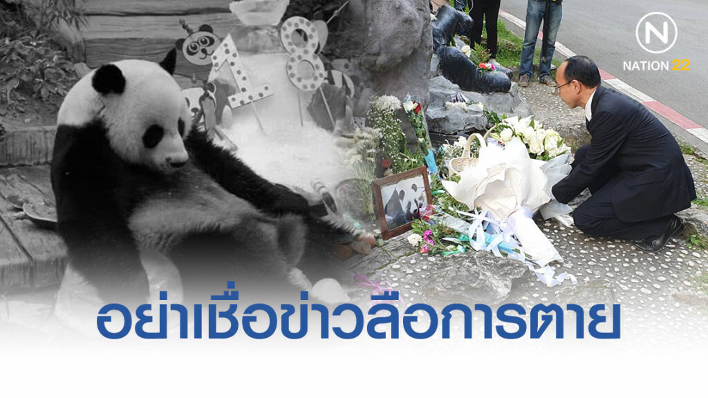 กงสุลจีนย้ำ อย่าเชื่อข่าวลือการตายแพนด้า "ช่วงช่วง"