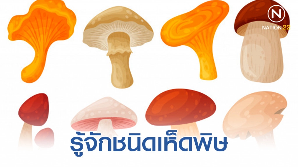 รู้จักชนิดเห็ดพิษ และ วิธีแก้