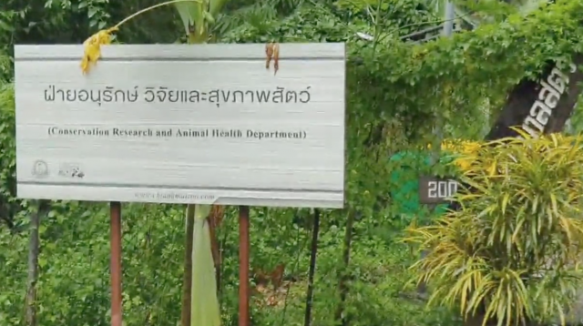 ผู้เชี่ยวชาญจีนถึงไทยแล้ว! เตรียมชันสูตร "ช่วงช่วง"