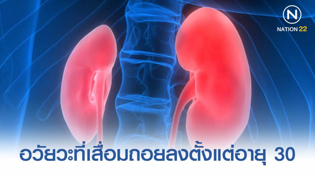 อวัยวะที่เสื่อมถอยลงตั้งแต่อายุ 30