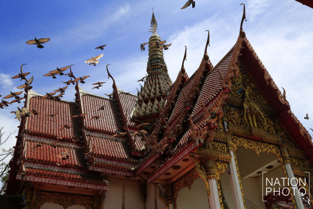ศุกร์ (สุข) ละวัด : วัดพระนอน