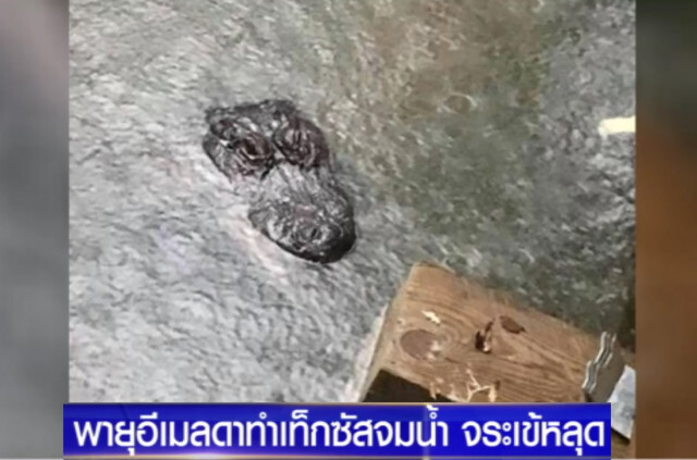 พายุ "อีเมลดา" ถล่มสหรัฐ ทำ "เท็กซัส" จมน้ำ