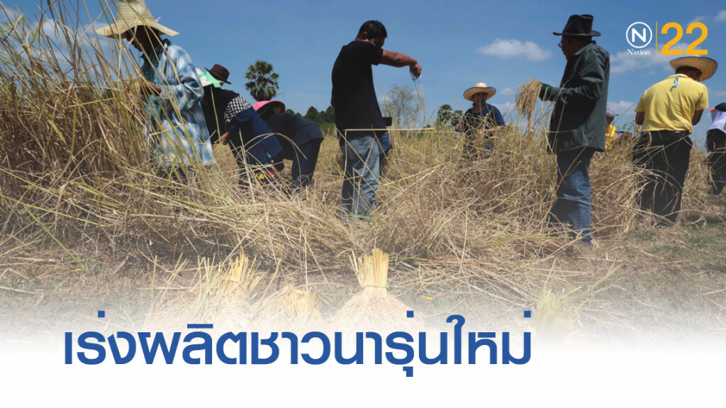 ธ.ก.ส.เร่งพัฒนาชาวนารุ่นใหม่เพิ่มศักยภาพผลิตข้าว
