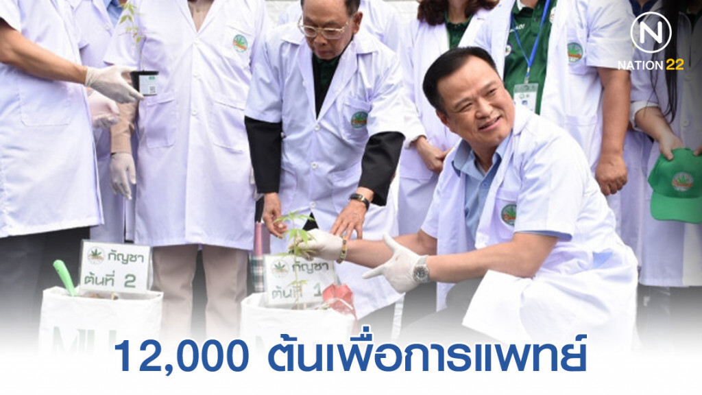 อนุทิน ปลูกกัญชาสายพันธุ์ไทยที่ ม.แม่โจ้ 12,​000​ หมื่นต้น​