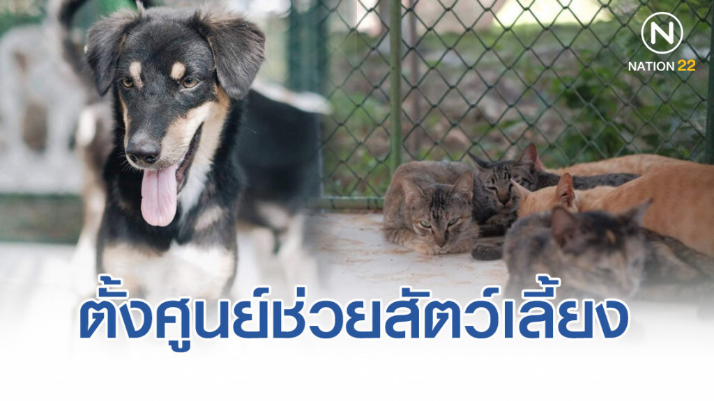 อุทยานฯ ตั้งศูนย์ช่วยสัตว์เลี้ยง น้ำท่วมอุบลฯ อุทยานฯ ตั้งศูนย์ช่วยสัตว์เลี้ยง น้ำท่วมอุบลฯ
