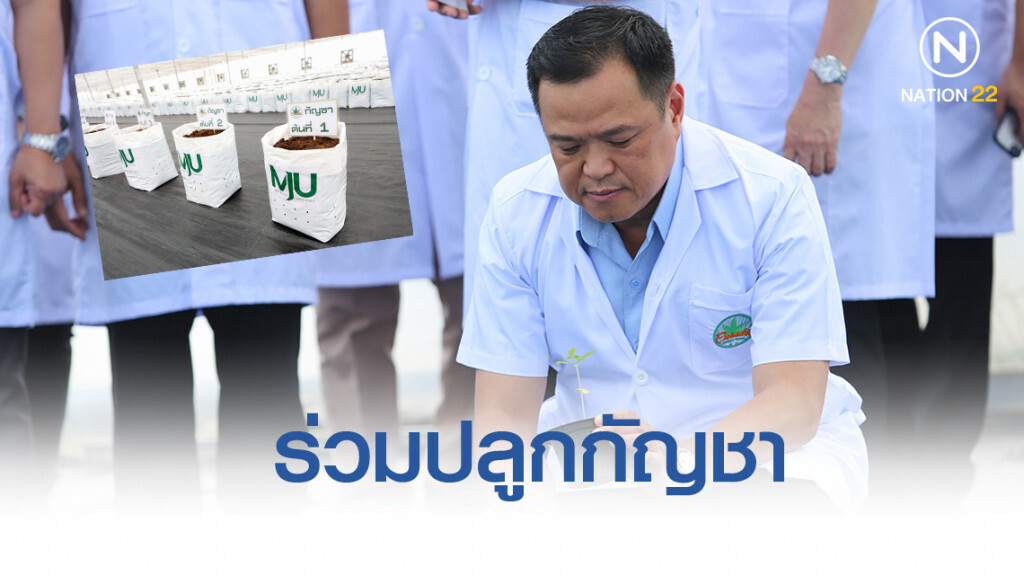 รมว.สธ.ร่วมปลูกกัญชาเกรดการแพทย์คาดได้ผลผลิตปี 63