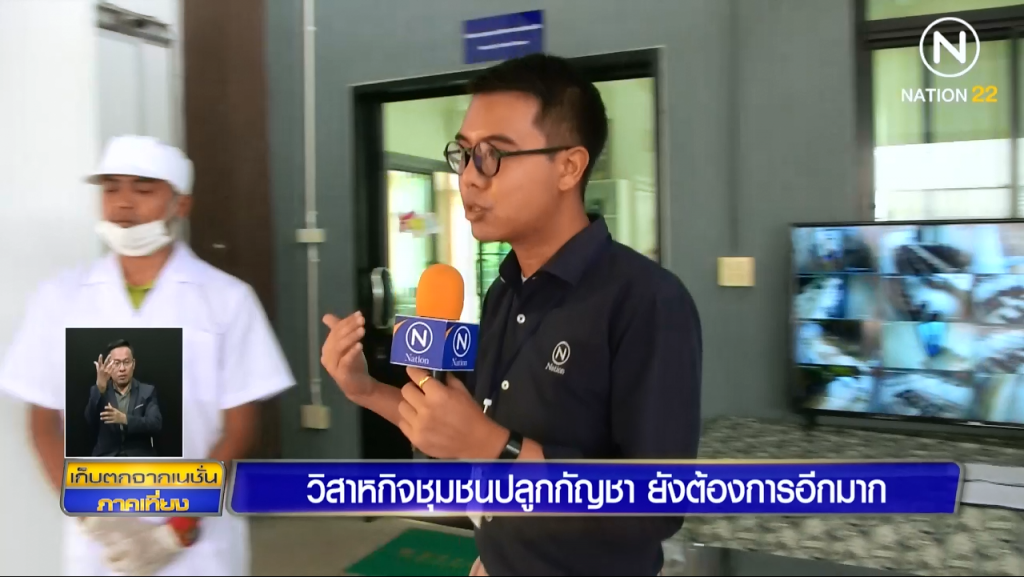 (สกู๊ป) วิสาหกิจชุมชนปลูกกัญชา ยังต้องการอีกมาก