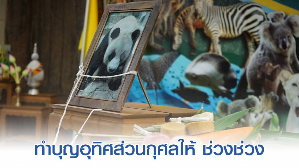 สวนสัตว์ทำบุญอุทิศส่วนกุศลช่วงช่วงตายครบ 7 วัน