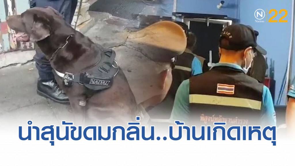 เตรียมนำสุนัข ดมกลิ่น เข้าตรวจสอบบ้านจัดงานปาร์ตี้ อีกครั้ง!