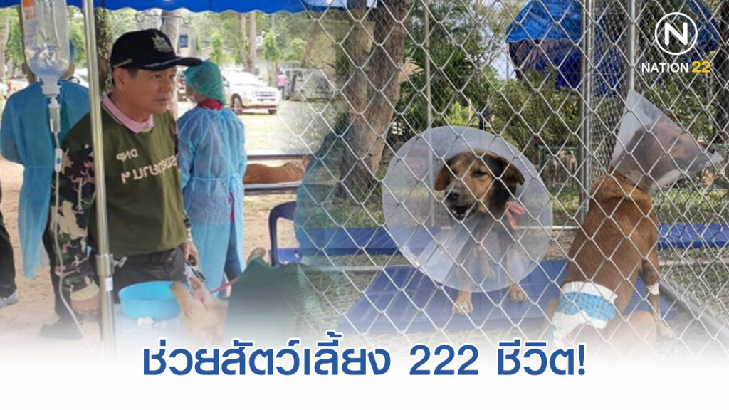 'ชัยวัฒน์'​ ลุยช่วยสัตว์เลี้ยงน้ำท่วมอุบล​ฯ​ 222 ชีวิต!