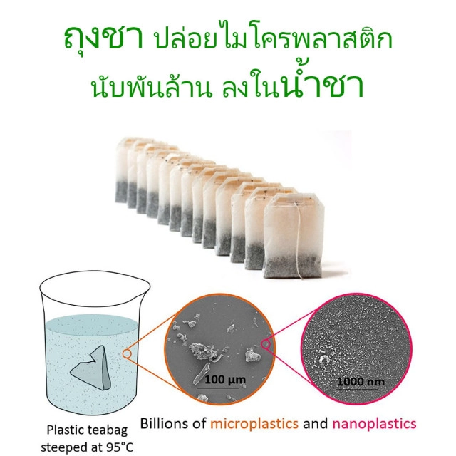 สาย "ชา" ว่าไง! งานวิจัยเผย ซองชา ปล่อย "นาโนพลาสติก" นับพันล้านลงน้ำชา