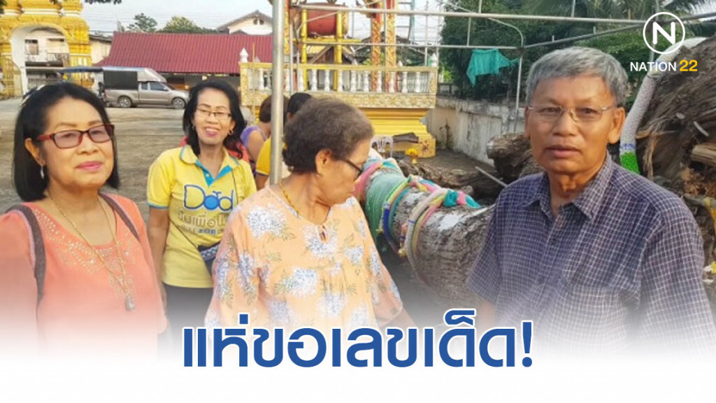 แห่ขอเลขเด็ด! ต้นตุ้มไม้2นางโบราณขนาดโคน 4 คนโอบ อายุกว่า 100 ปี