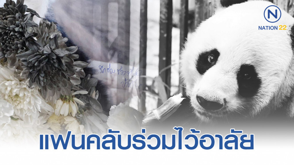แฟนคลับอวยพรวันเกิด"หลินฮุ่ย" ร่ำไห้อาลัย "ช่วงช่วง"