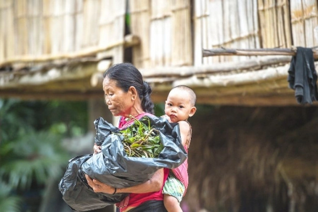 เปิดข้อมูลลึกแต่ไม่ลับ ทำไม "ป่าแก่งกระจาน" ไม่ได้ไปต่อในเวทีมรดกโลก