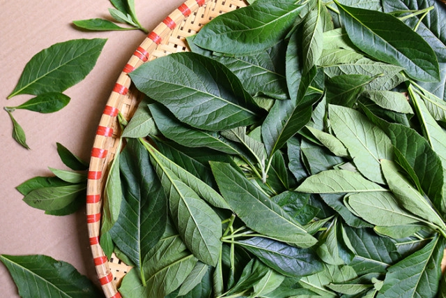 ผัก 13 ชนิด ช่วยลดน้ำตาลในเลือด