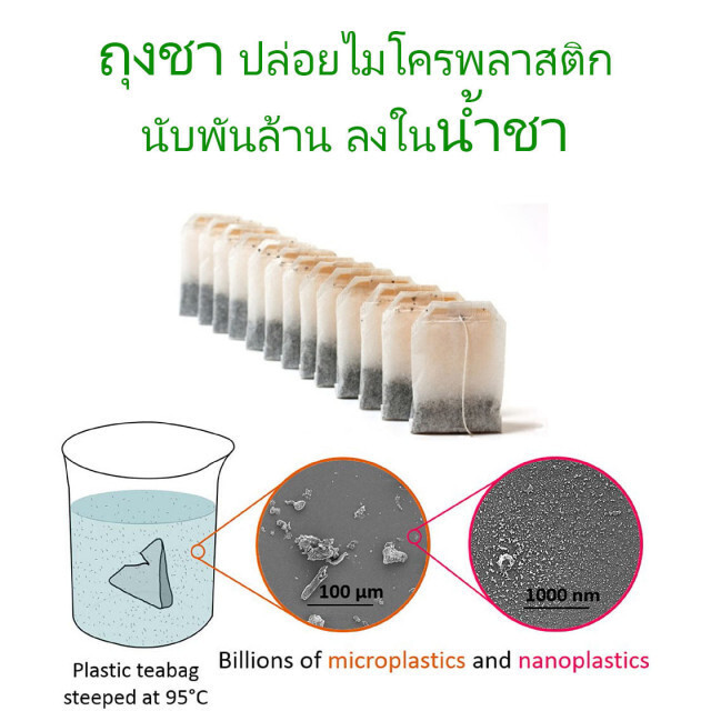 อย่าเพิ่งแตกตื่น พบไมโครพลาสติกในถุงชา!