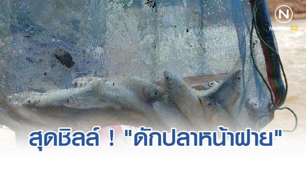 สุดชิลล์ ! "ดักปลาหน้าฝาย" ไม่ต้องจับกระโดดเข้ากับดักเอง