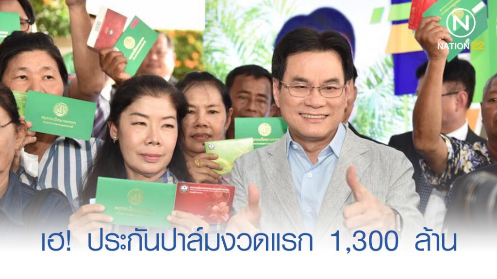 2.5 แสนครัวเฮรับ 1.3 พันล.ประกันปาล์มงวดแรก