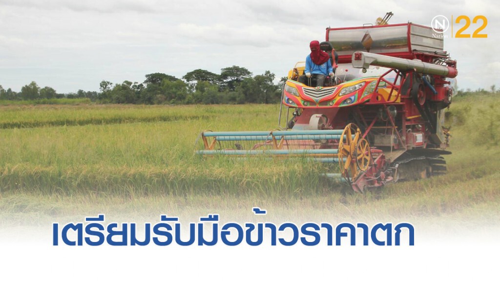 "พาณิชย์" เตรียมรับมือข้าวราคาตก "พาณิชย์" เตรียมรับมือข้าวราคาตก