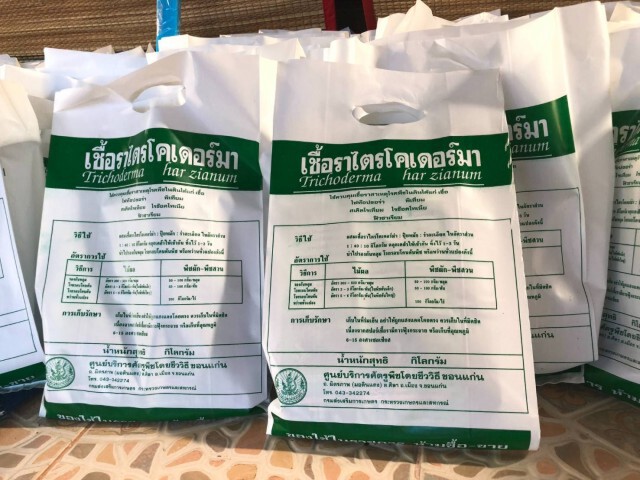 กรมส่งเสริมการเกษตรเร่งช่วยเหลือเกษตรกรหลังน้ำลด
